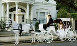 2 Passenger Victorian Carriage